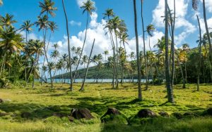 Top 10 quốc gia nóng nhất Châu Mỹ (Saint Vincent and the Grenadines)